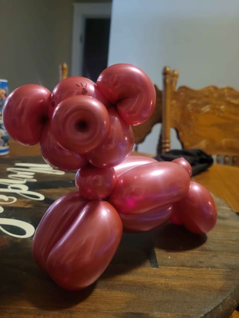Balloon creations by Bodark Balloons