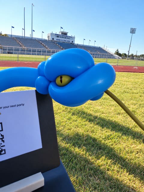 Balloon creations by Bodark Balloons
